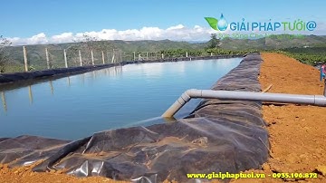 Cách sử dụng bể chứa nước trên đỉnh đồi để tưới mà không cần dùng máy bơm