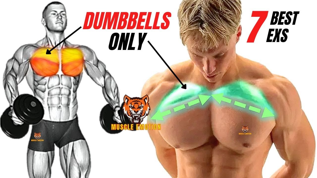 7 best upper chest workout with dumbbells only at home - YouTube