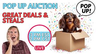 HUGE POP UP AUCTION | Come Find Amazing Deals | 2 pm CST TODAY