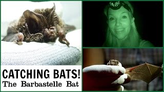 Searching for Bats (using a Night Vision 'Special Camera!') | Maddie Moate
