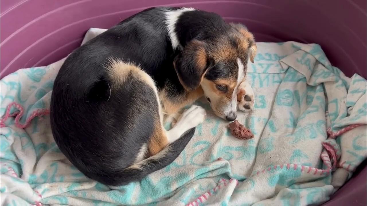 Delhivery e commerce logistics. Before chaining. прямые и непрямые direct indirect procurement это. Before till until разница. стратегии дистрибуции.