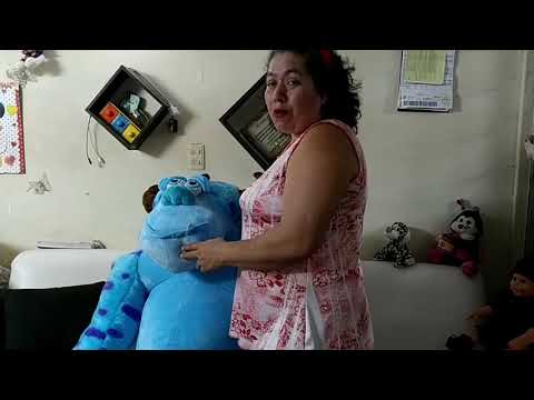 Vídeo: Com Cosir Ossets De Peluix