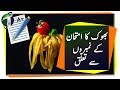 Breakfast and Academic Performance Urdu Hindi