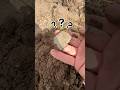 Что я нашёл ???#золото #metaldetecting #shortvideo #коп #поиск #metaldetector #клад #top #shorts