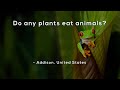 Fascinating Plants That Eat Animals