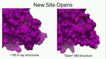 SC17 Invited Talks Rommie Amaro