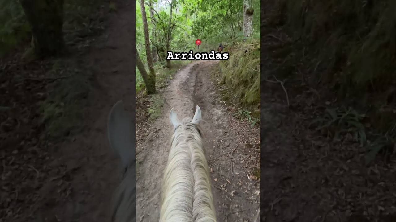 🤘 comienza la aventura #arriondas #asturias #viajando