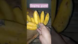 Saging Guys