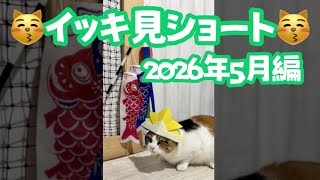 Binge-Watching Shorts: May 2026 Edition - YouTube