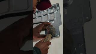 AC  installation #acwalebhai #electrical #accircuits #automobile #electricalguru #splitac #ac