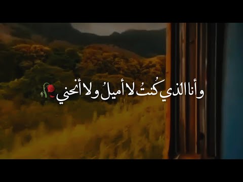 أغرقتنا لهفة البدايات 