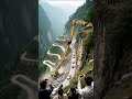 the world's longest crane