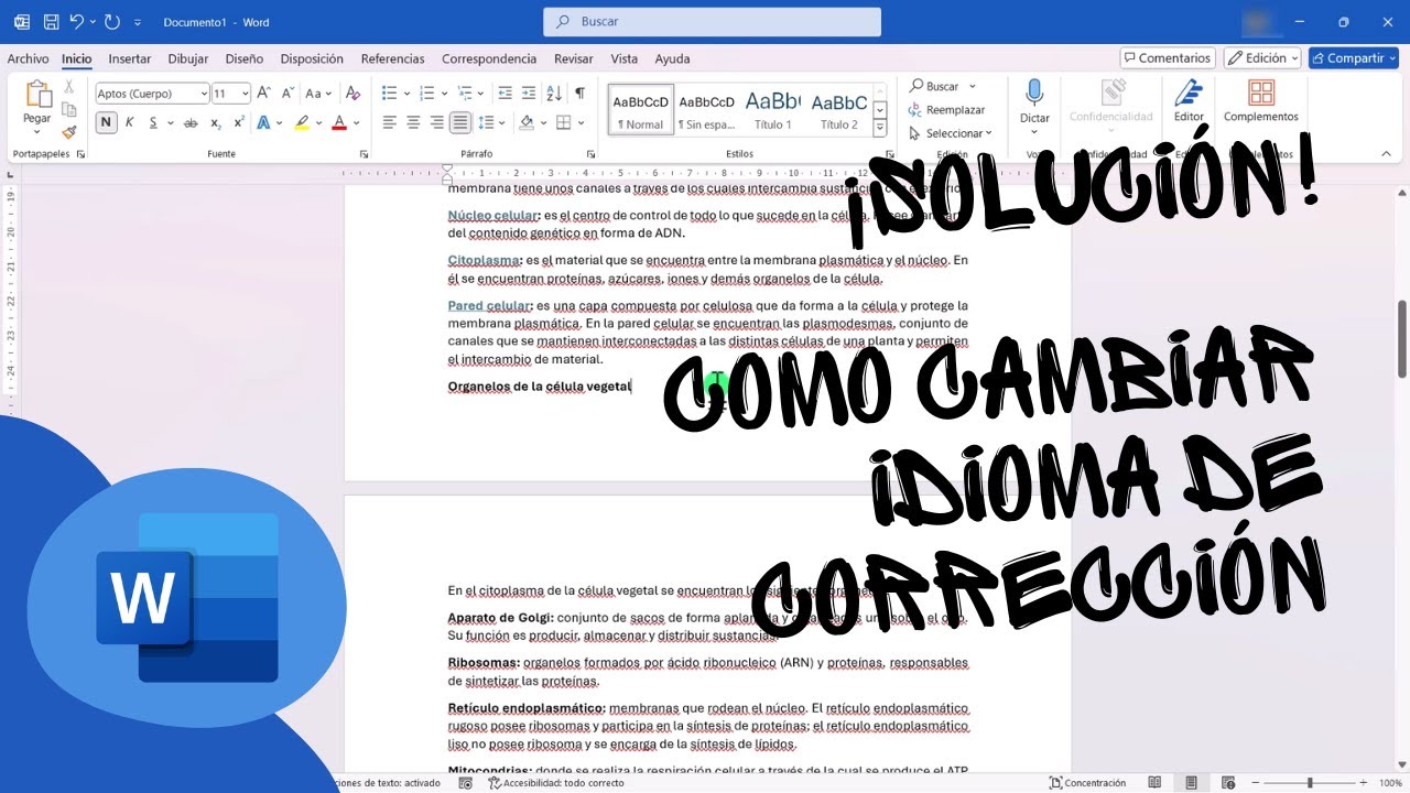 Cómo cambiar el idioma de corrección en Word (Corrector ortográfico ...