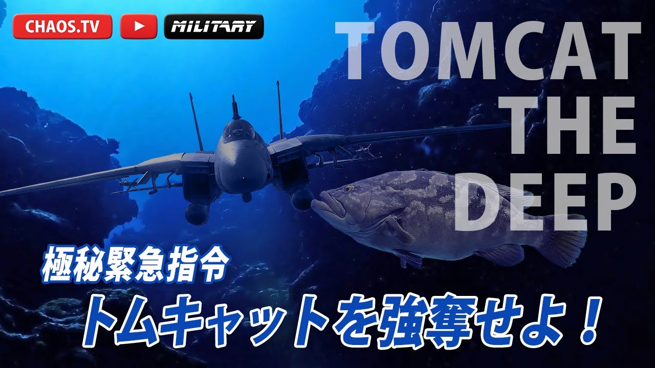 Steal the Tomcat!] The US-Soviet F-14 Battle of 1976: Operation