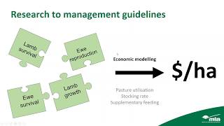 Lifetime Maternals – management guidelines for maternal ewes