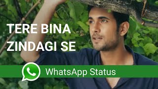 😍😍 Tere bina zindagi se koi whatsapp status || cover song 😍😍 screenshot 4