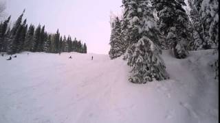 Backflip Barrel Roll