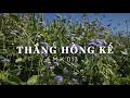 Album「 Buông 」 Thắng Hồng Kế