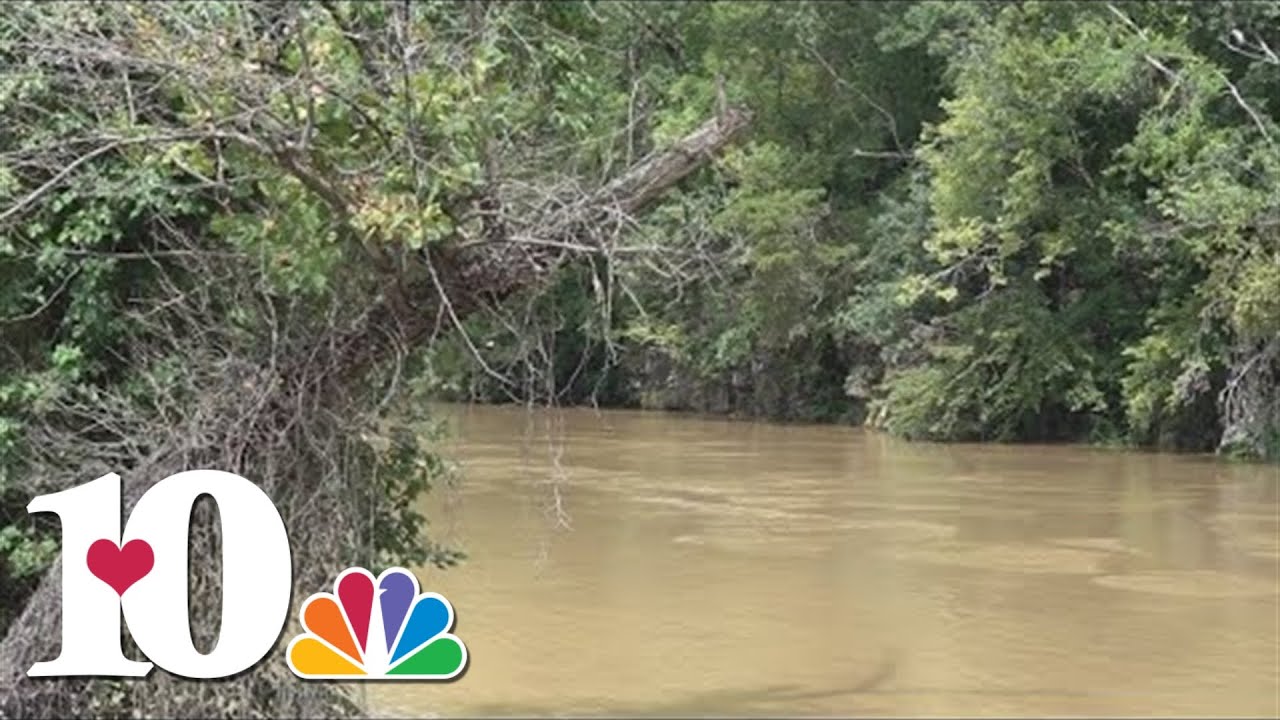 TWRA investigating fish kill on Pigeon River