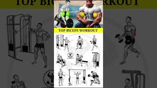 Biceps Workouts at the Gym for Bigger Arms #biceps #bicep