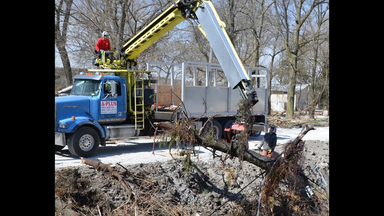 Grapple Saw Truck - Remove Fallen Ash Tree from Lake - YouTube