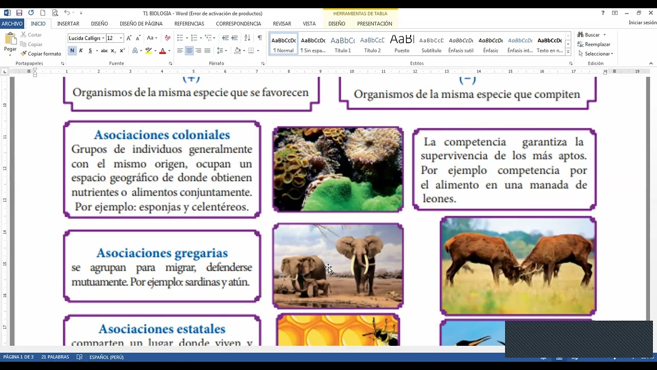 BIOLOGIA CEBA 08.03.26