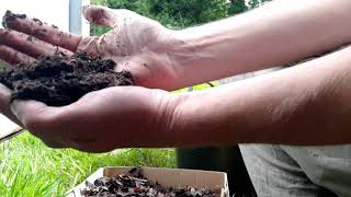 How to make and manage a wormery