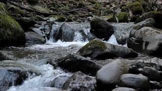 🌊 2-Hour Stream Serenity: Nature's Symphony of Tranquil Stream and Cascading Waters 🍃 Stress Relief