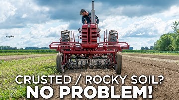 Spyder Basket Weeder - A Key To Organic Stalebedding