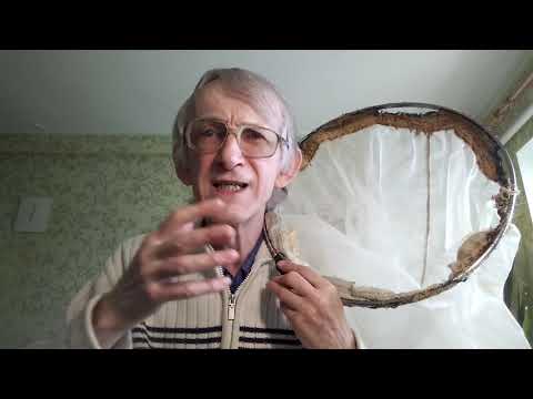 Как Разводить Красивых Бабочек? Как наблюдать за бабочками? Как содержать гусениц? ЧАСТЬ-1.