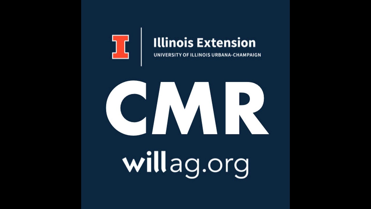 CMR Special | Rewriting the RFS Playbook