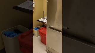 #death #deceased #morbid #macabre #undertaker #died #bodybag #hospital #morgue #removal #mortician