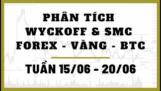 ✅Phân Tích FOREX - VÀNG - BITCOIN Tuần 15/06-20/06 Theo Phương Pháp WYCKOFF & SMC | TraderViet