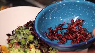 Why eating insects makes sense