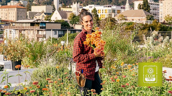 Bluma Farm: Bloomin' in Berkeley's Sky