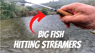 BIG Rainbow Trout in the RAIN [SPEY FISHING a SMALL RIVER]