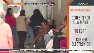 Pasos para sacar el Numero de Seguridad Social