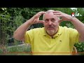 Срочный приказ Путина военным / Эвакуация из Москвы и Санкт-Петербурга?