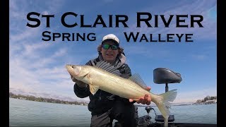 Spring Walleye - St Clair River