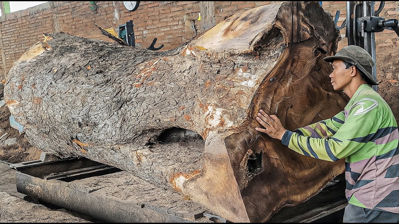 Unexpected Surprise While Million Dollar Old Trembesi Wood Was Cut at ...