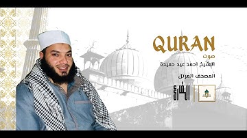 سورة الإخلاص كاملة | تلاوة خاشعة مؤثرة بصوت الشيخ احمد عيد حميدة - Al-Qari