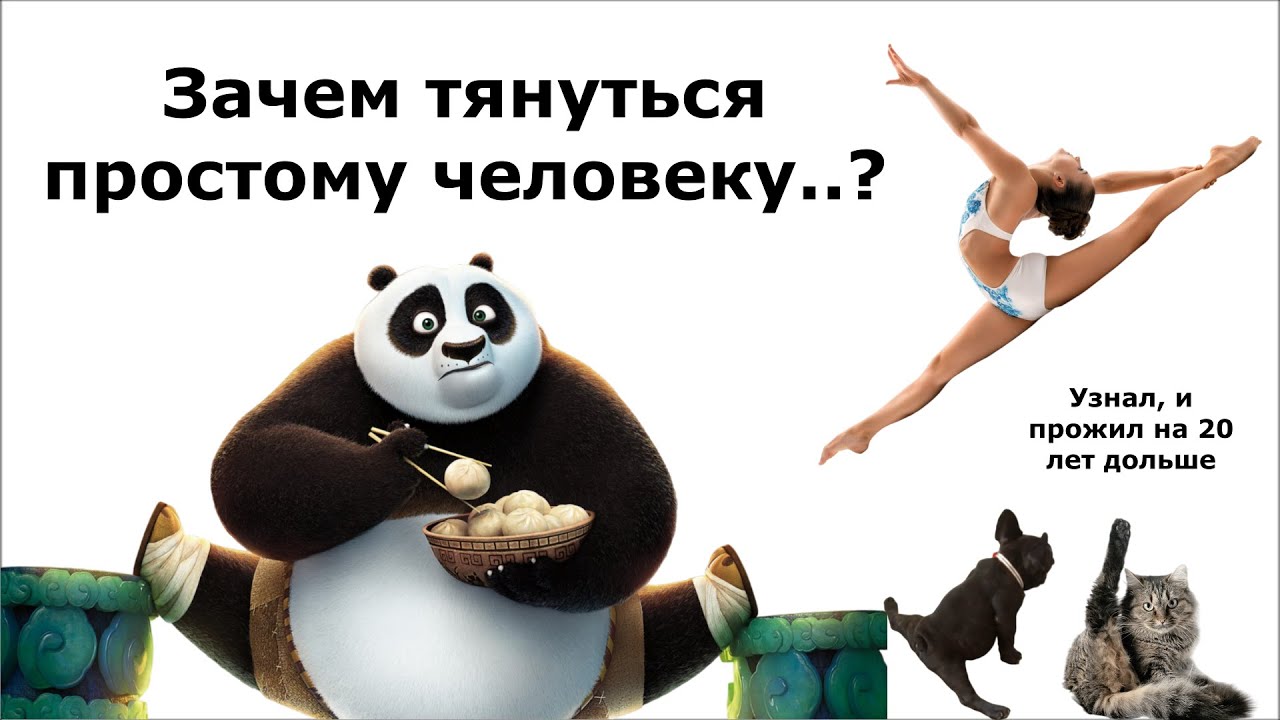 Растяжка, стретчинг, МФР, зачем все ЭТО организму!? | Доктор Финагин ...