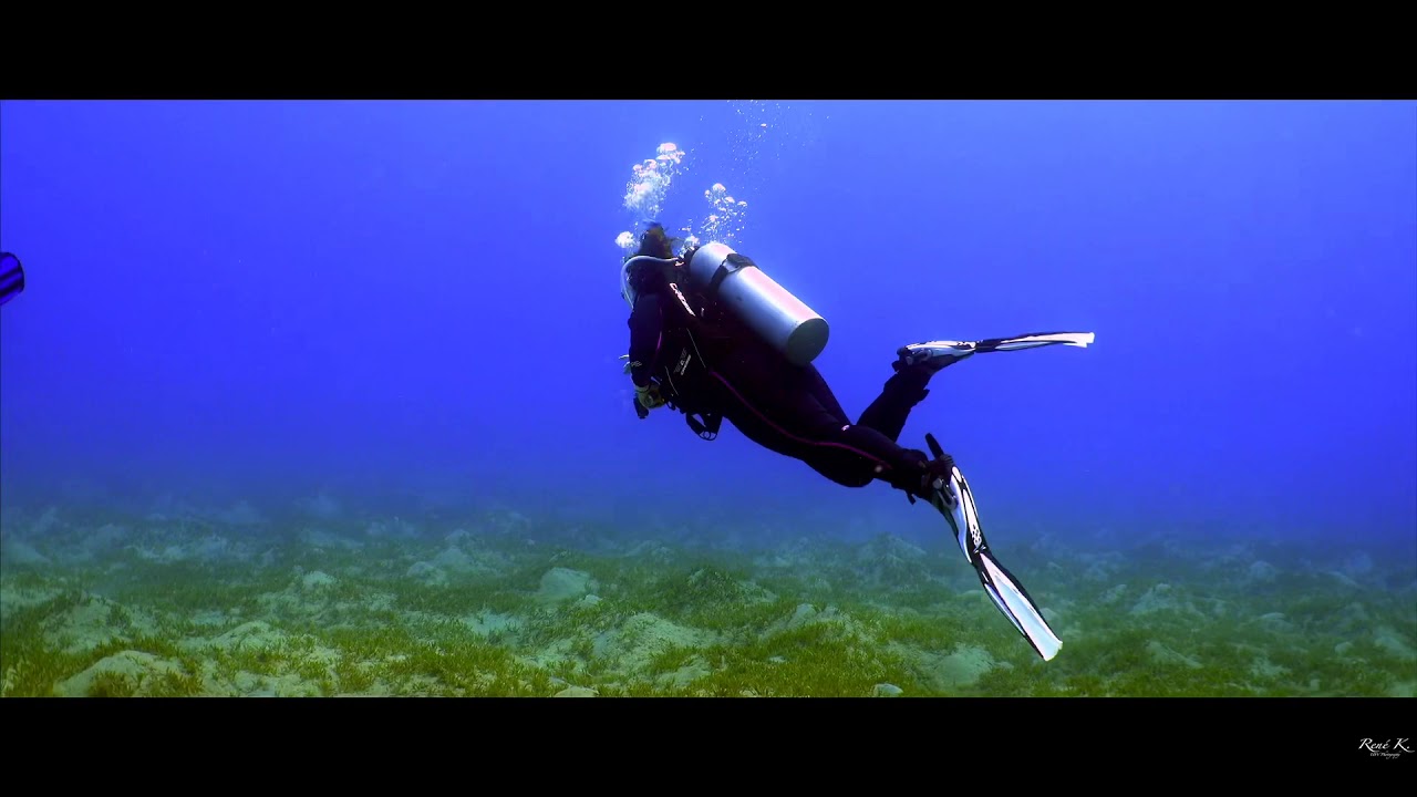 Ägypten 2019 The Oasis Dive Resort Werner Lau - Short