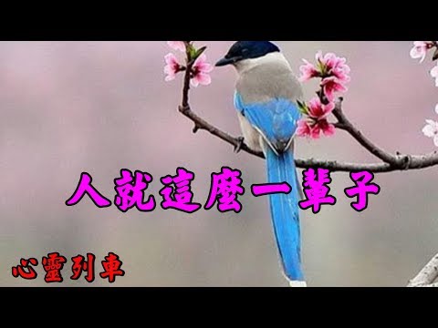 【心靈列車 】 人就這麼一輩子：這七個字，說來容易，想起來卻很深沉。它能使我在軟弱時變得勇敢，驕傲時變得謙虛，頹廢時變得積極，痛苦時變得歡愉；