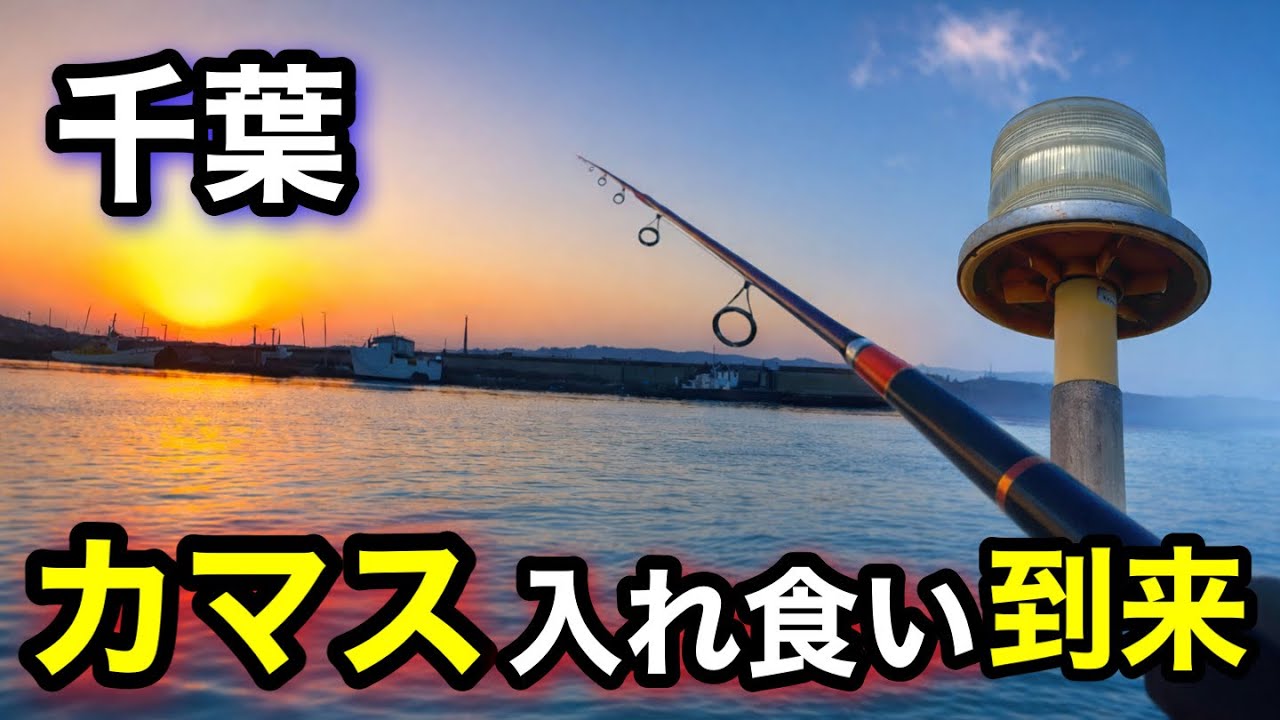 【千葉釣り】祭りじゃ！カマス回遊中…ラストは入れ食い到来！