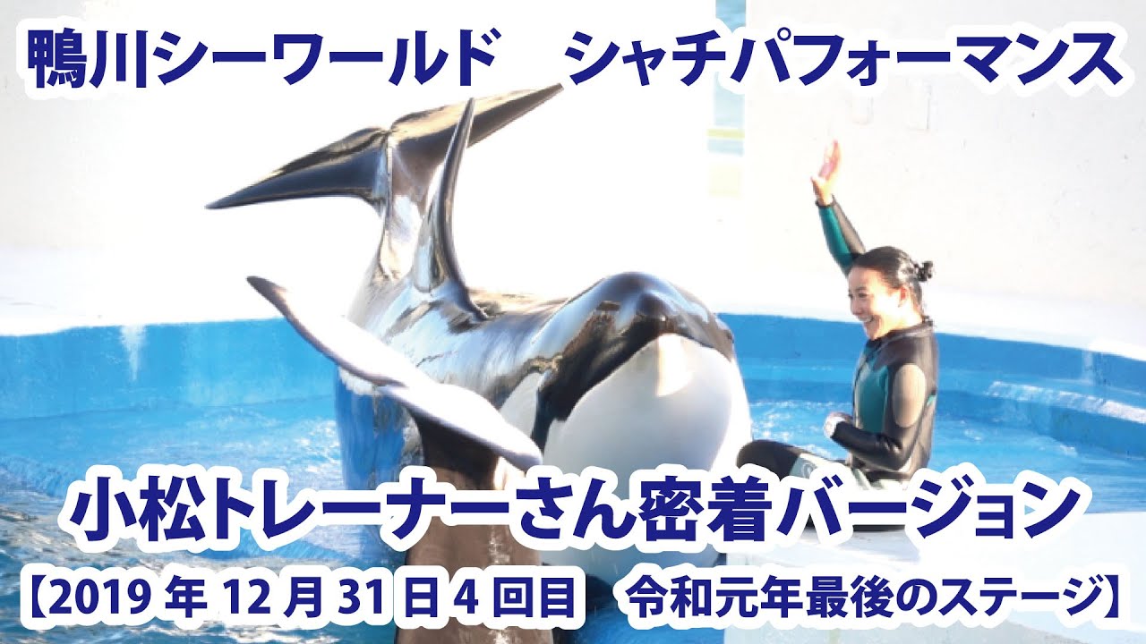 【2019年12月31日4回目】鴨川シーワールド　シャチパフォーマンス　小松トレーナーさん密着バージョン