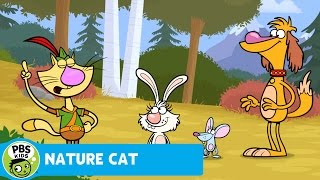 NATURE CAT | Squeeks Loves Rocks! | PBS KIDS