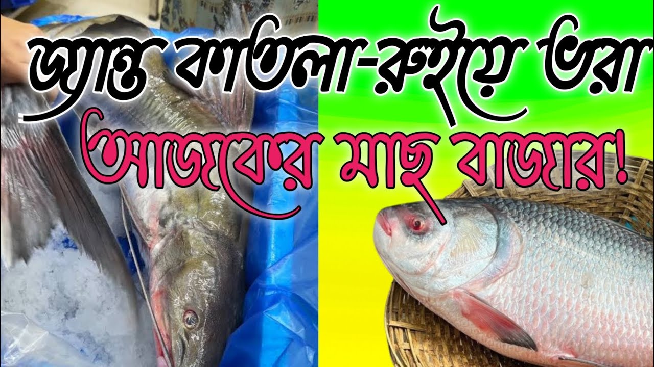 🐟 জ্যান্ত কাতলা-রুইয়ে ভরা আজকের মাছ বাজার! 🐟