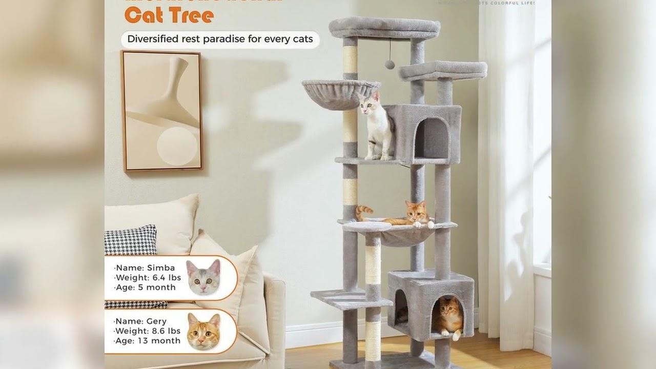 A must-have product! Tall Cat Tree for Indoor Large Cats Big Cat Tower  with Super Large Hammock C