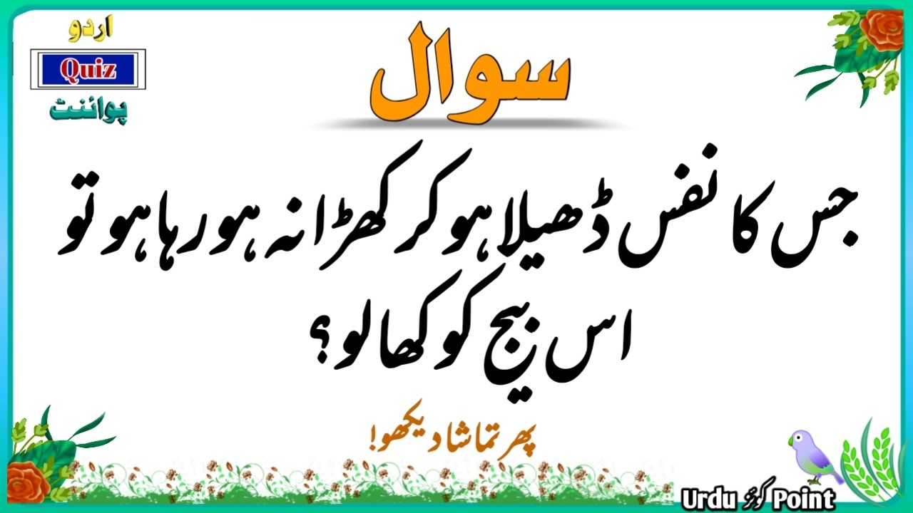 Top Islamic Questions Answers | Islamic Quiz | Islamic Paheliyan | Islami Sawal Jawab | Urdu Quiz